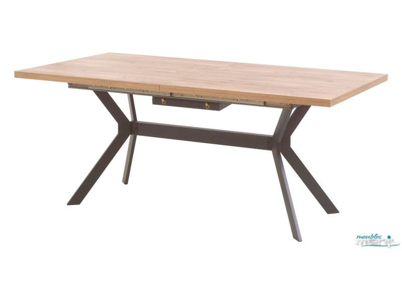 table allongeable neto