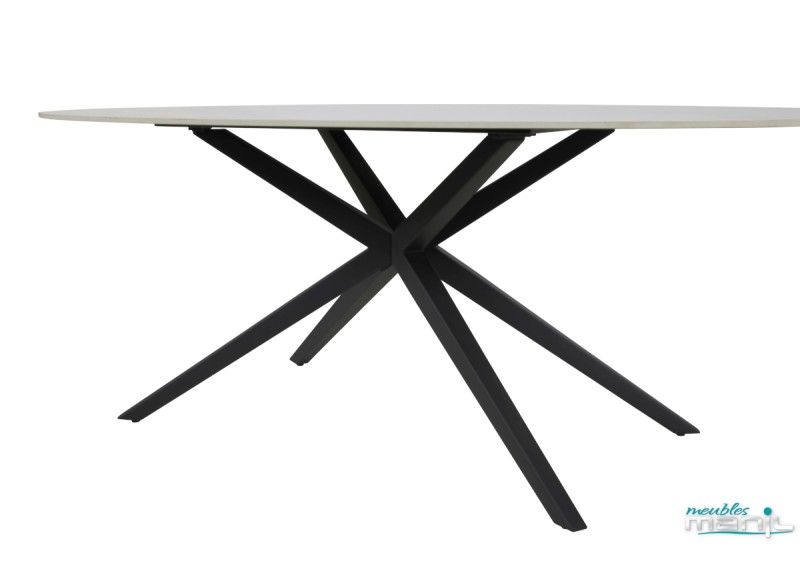 Table ovale céramique 2202