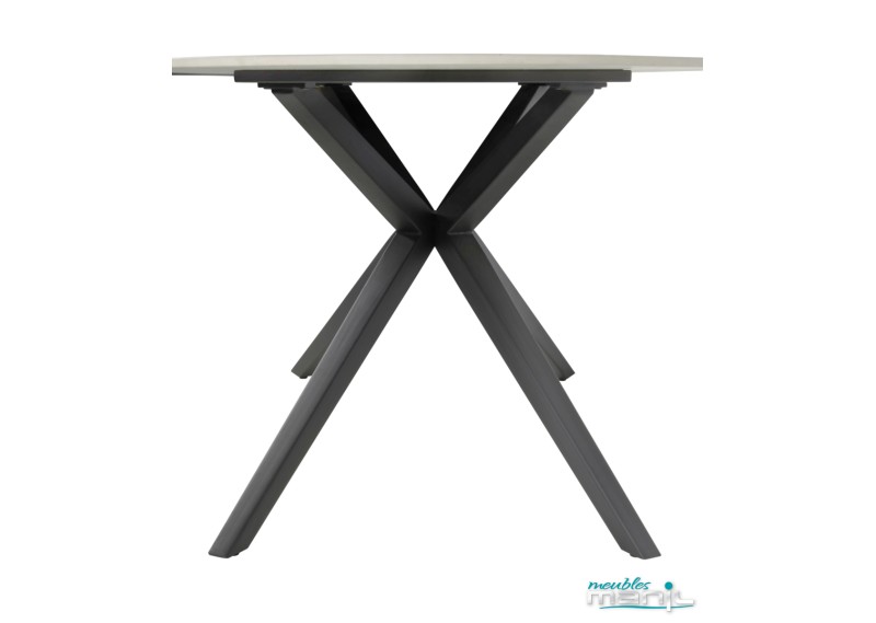 Table ovale 2202